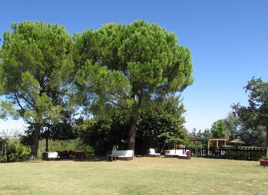 Agriturismo Ca'De'Gatti Faenza Exterior foto