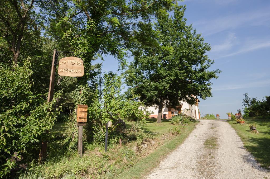 Agriturismo Ca'De'Gatti Faenza Exterior foto