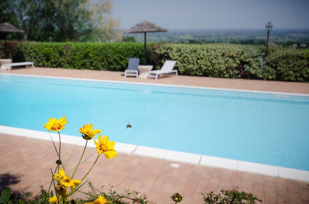 Agriturismo Ca'De'Gatti Faenza Exterior foto